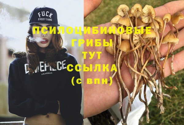 кокаин премиум Белокуриха