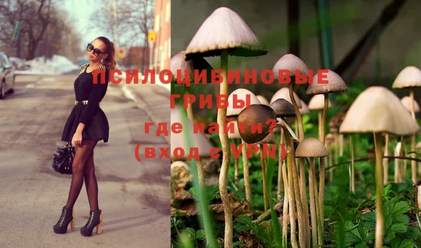 молекула духа Беломорск